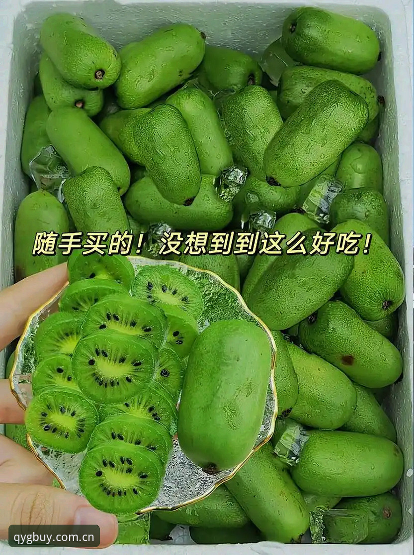 奇异果安装教程对比深度评测：三大方案谁更胜一筹？全面解析v2.1.0版本体验